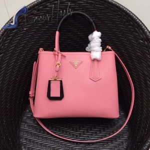 Prada Bag 029